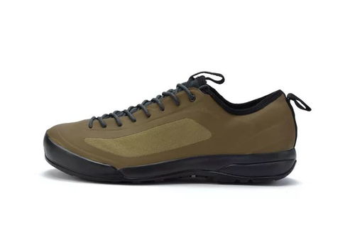 鳥(niǎo)鞋新色煥新登場(chǎng) 極致體驗(yàn)，悅享足下風(fēng)采